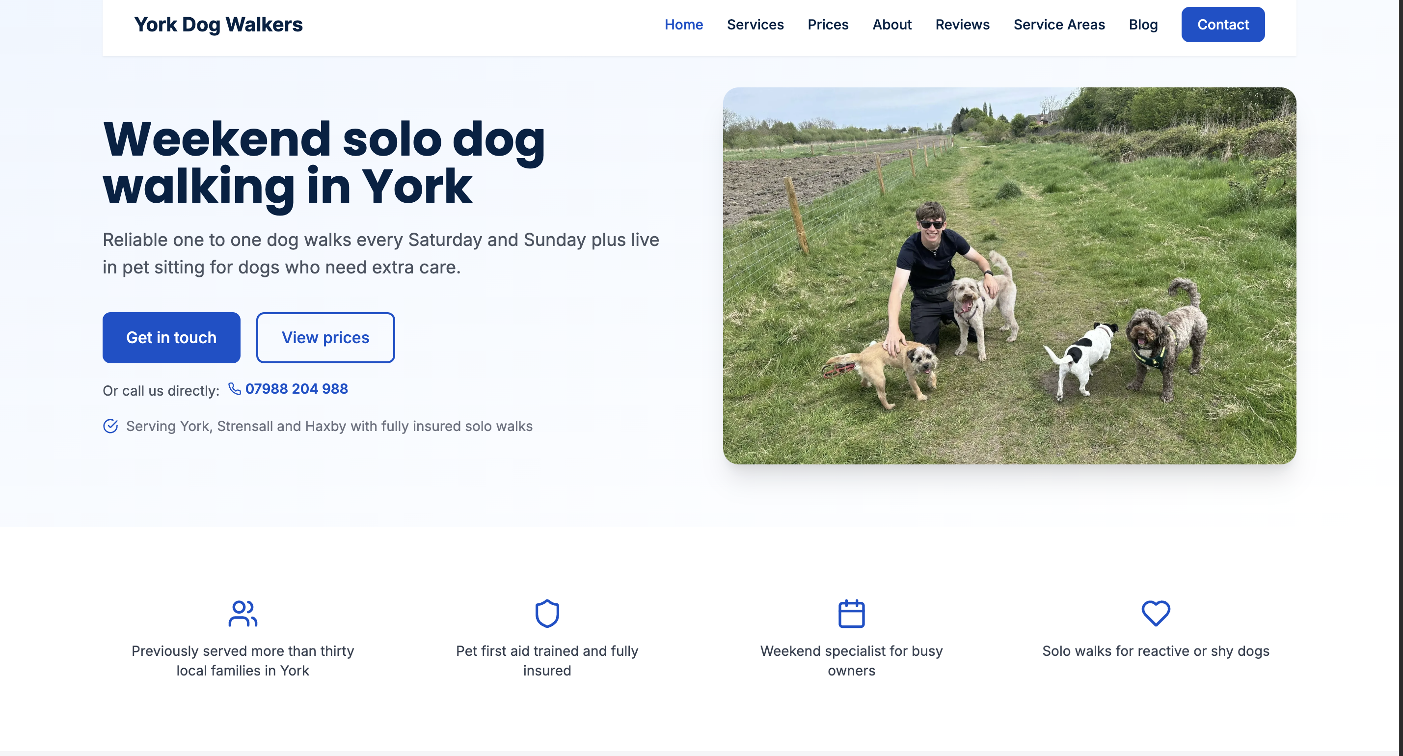 Screenshot of York Dog Walkers website